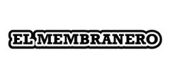 Logo Demo